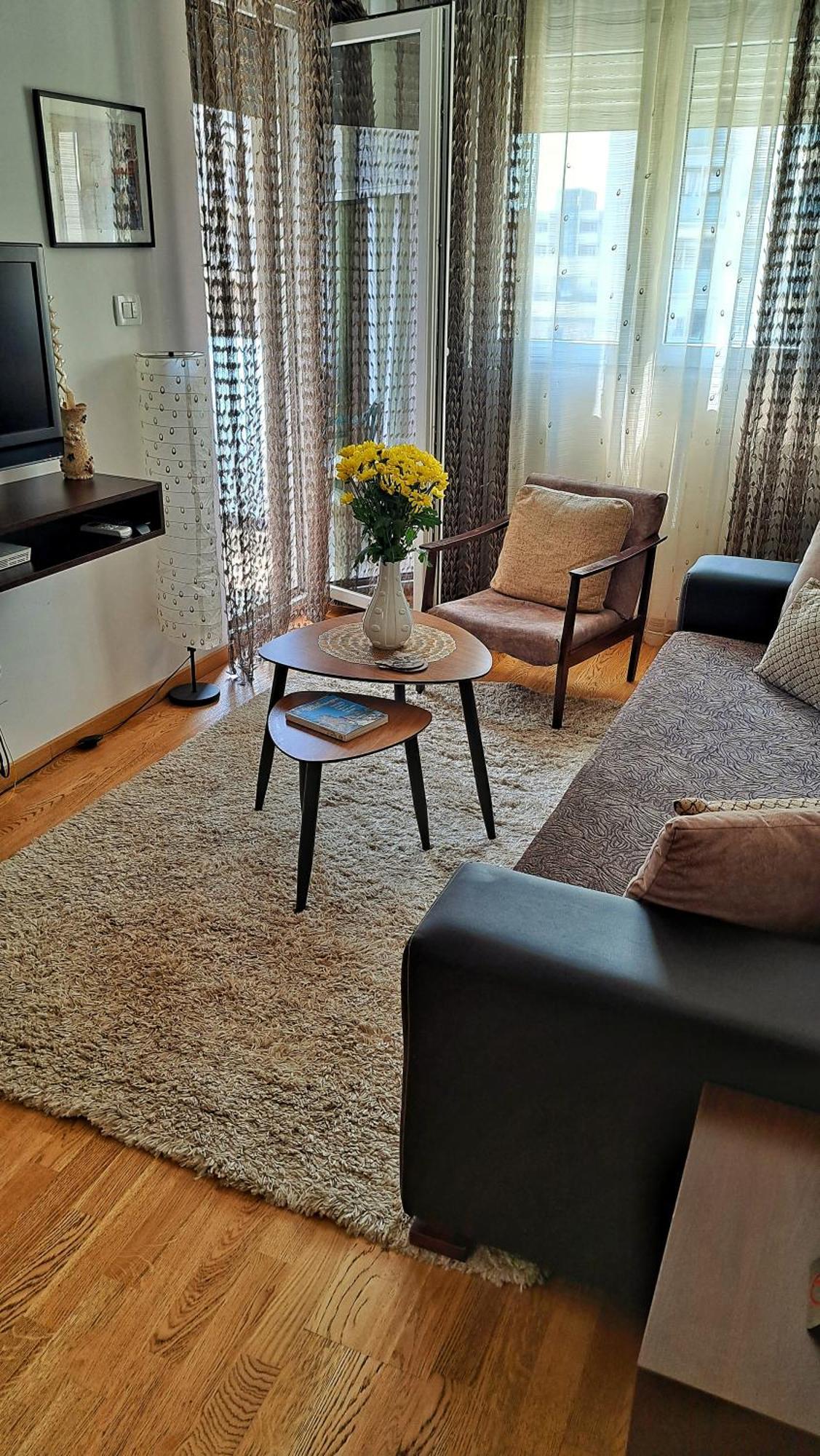 Apartman Miss T Apartman Podgorica Kültér fotó